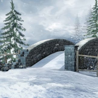 C20 Snow Bridge
