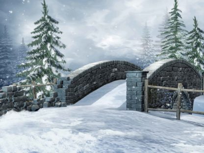 C20 Snow Bridge