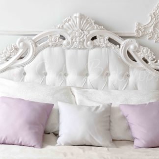 BED6 Classic