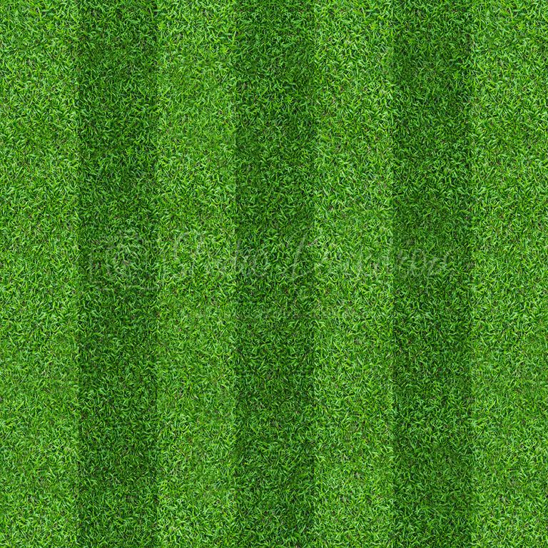 SPORT03 Stadium Grass