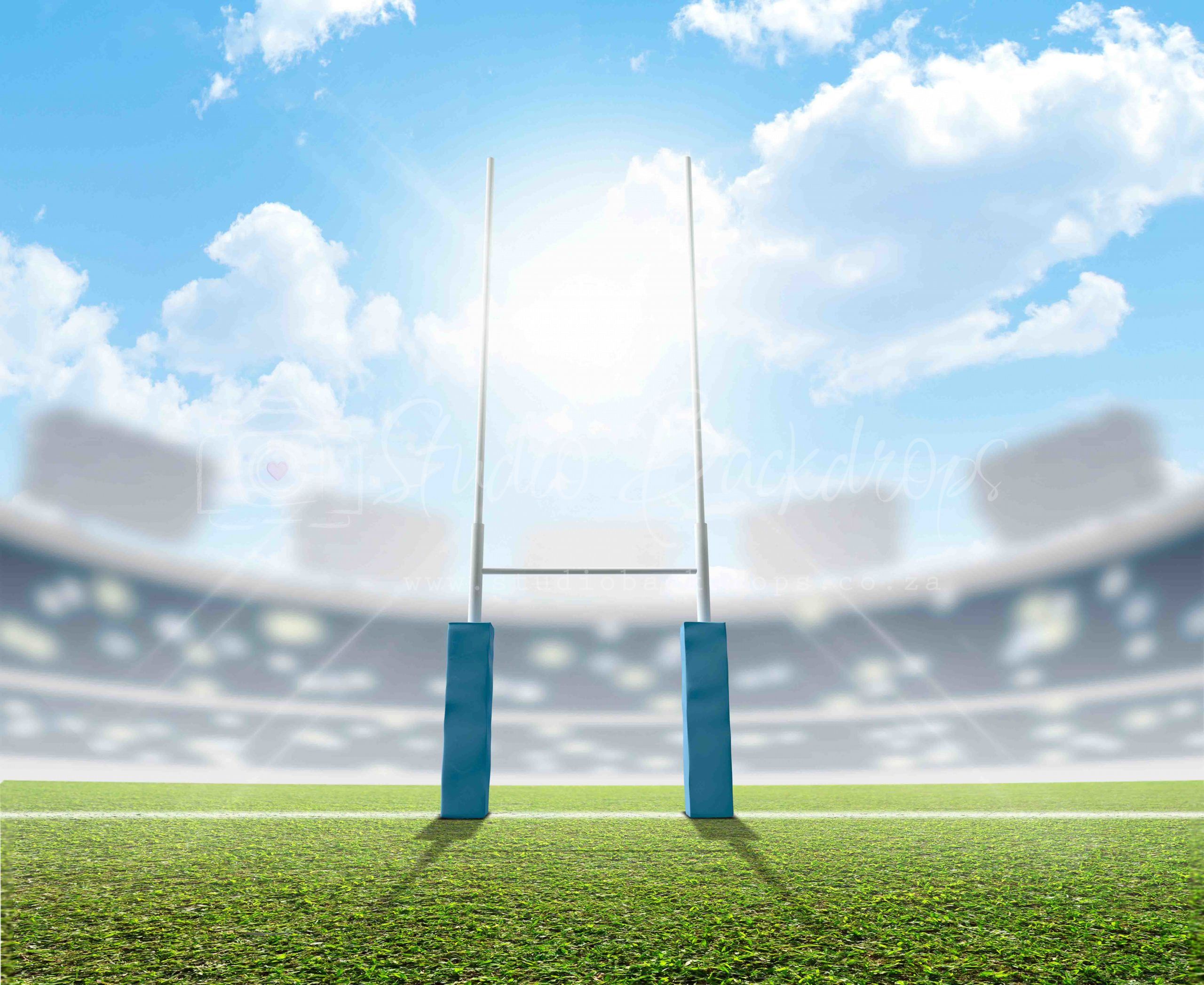 SPORT08 Rugby Field Studio Backdrops