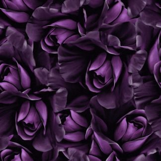 FLO25 Purple Rose