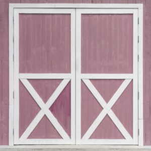 WALL36 Pale Barn Doors