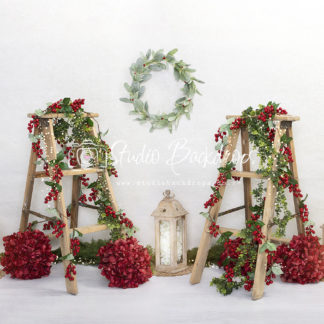 SET 19 Two Red Berry Ladders with Lights
