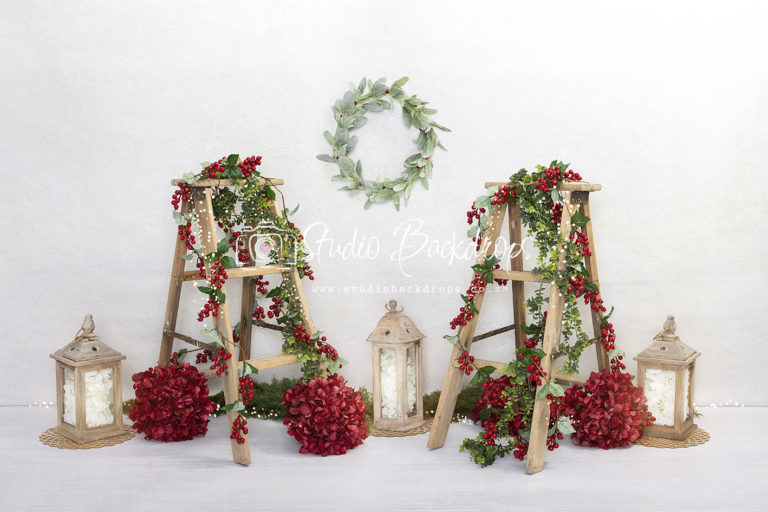 SET 19 Two Red Berry Ladders with Lights