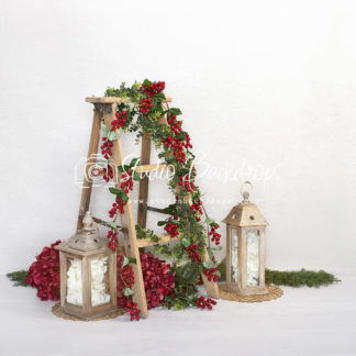 Set 15 Single Red Berry Ladder with Red Flowers