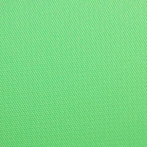 Savage Chroma Green Vinyl Backdrop 2.43m x 6.09m