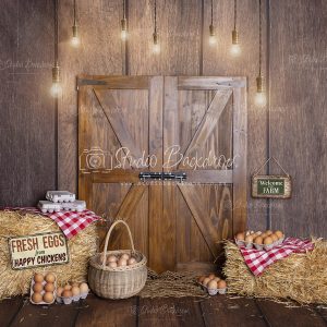 SET 20 Egg Stall with Hanging Lights