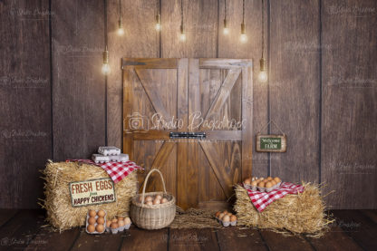 SET 20 Egg Stall with Hanging Lights