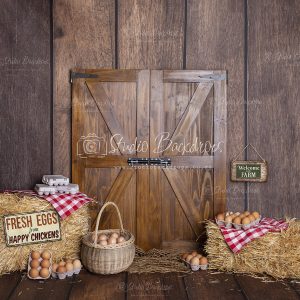 SET 21 Eggs in the Shed