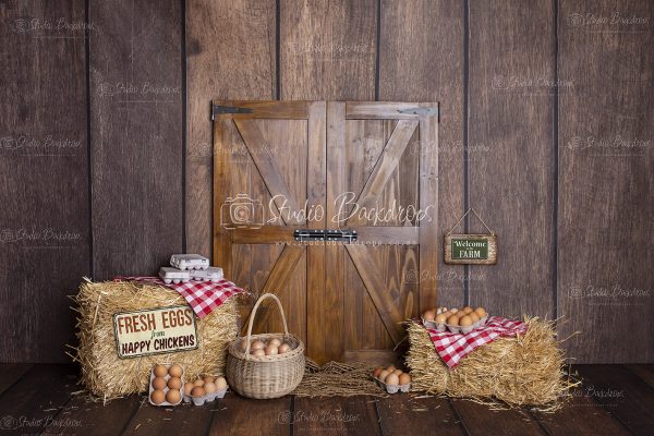 SET 21 Eggs in the Shed