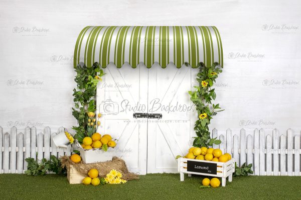 SET 23 Lemon Stall