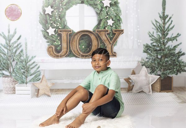 C62 Christmas Joy Sample Display Studio Backdrop 3