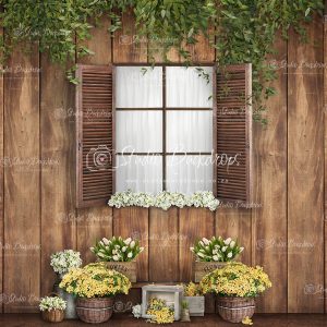 SET28 Cottage Window with Flowers