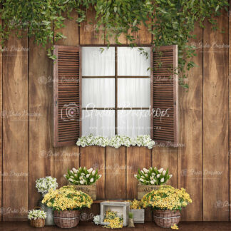 SET28 Cottage Window with Flowers