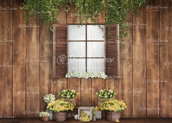 SET28 Cottage Window with Flowers