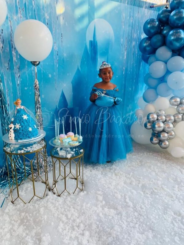 PRESCH09 Frozen Castle Display Sample (2)