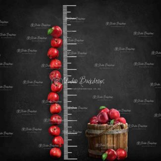 PRESCHO36 Twelve Apples Tall Blackboard