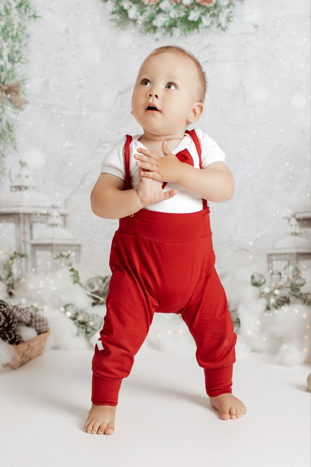 C88 Timeless Christmas – Studio Backdrops