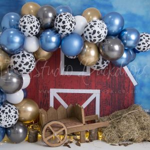 SET42 Balloon Barn