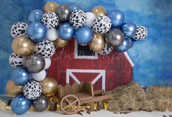 SET42 Balloon Barn