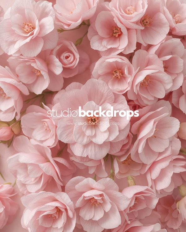 FLORAL13 Blush Pink Flowers