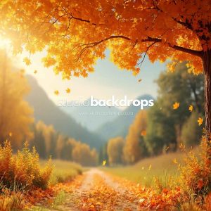 FUN66 Defocus Mountain Path Rental