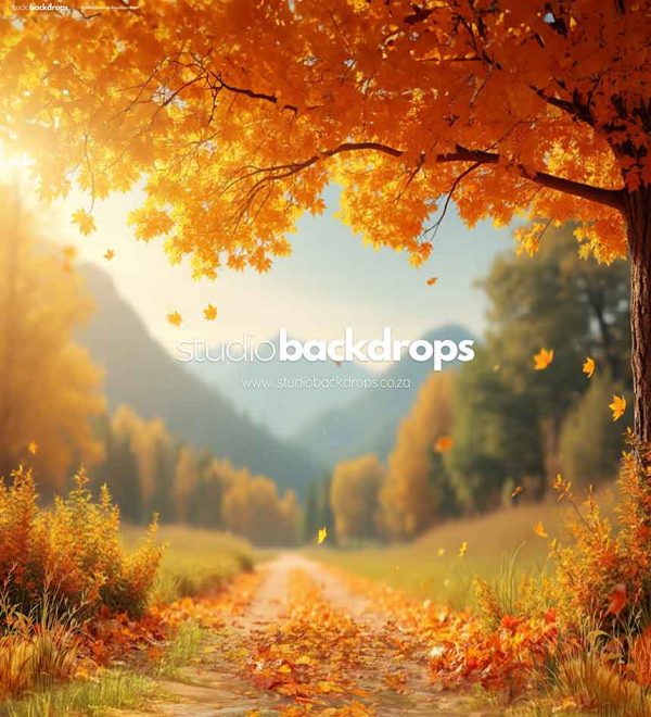 FUN66 Defocus Mountain Path Rental