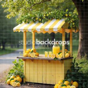 FUN71 Lemonade Stand