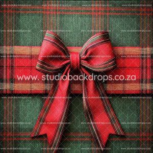 C149 Soft Focus Plaid Bow