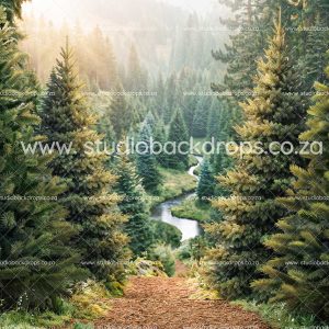 C154 Forest Valley View