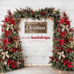 C160 RED Christmas